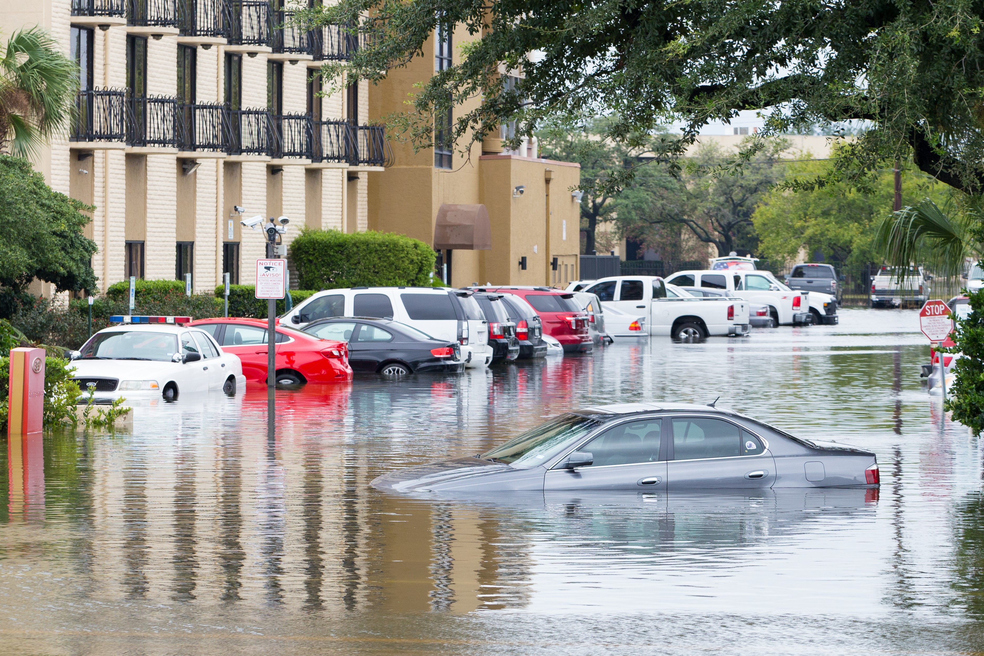 Wet Cars